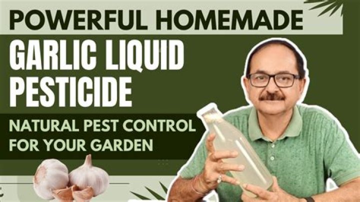 How is garlic used as a pesticide