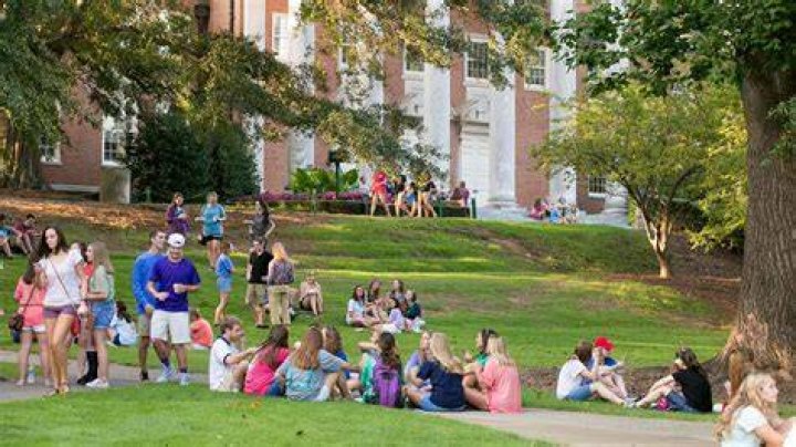 How is the life of a college student?