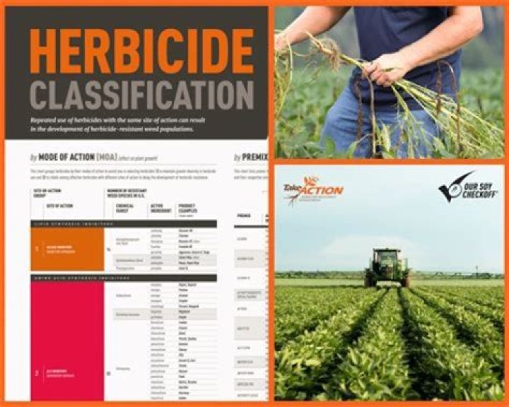 How long does herbicide last after mixing