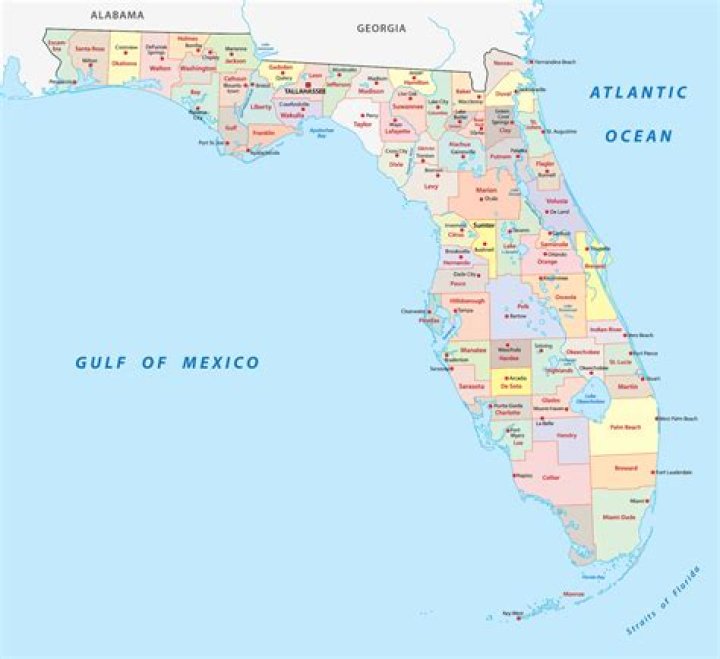 How many divisions are in the Florida Department of Financial Services