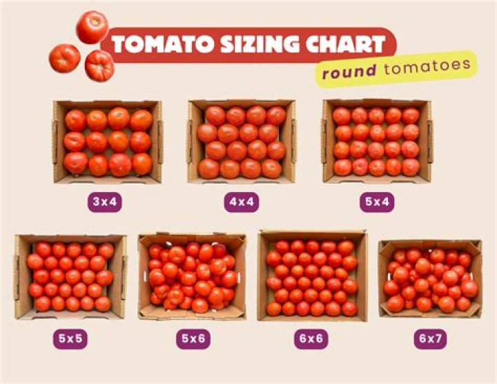How many tomatoes is 5 pounds of tomatoes?