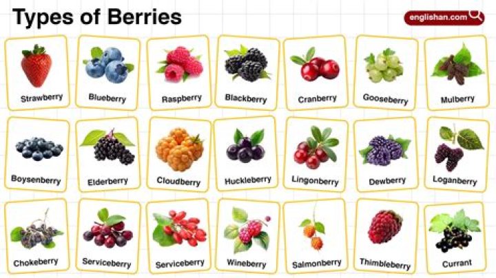 How many types of berries are there