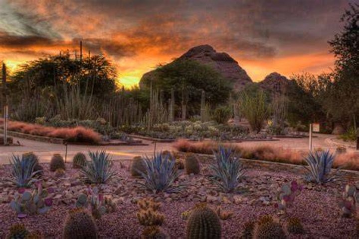 How much are Desert Botanical Garden tickets?