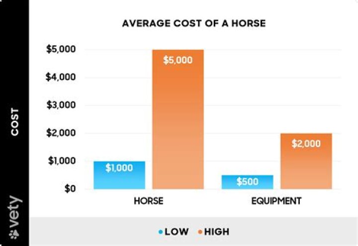 How much does it cost to buy a Shetland pony?