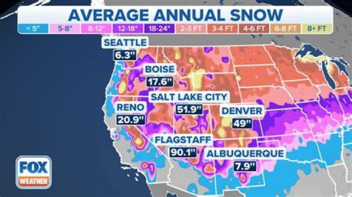 How much does it snow in Springerville arizona?