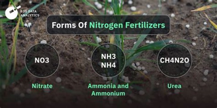 How much nitrogen is in fertilizer