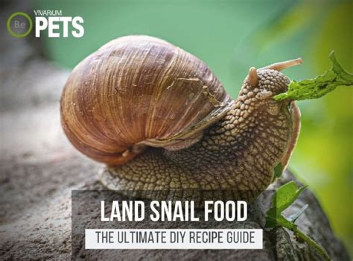 How often do land snails lay eggs