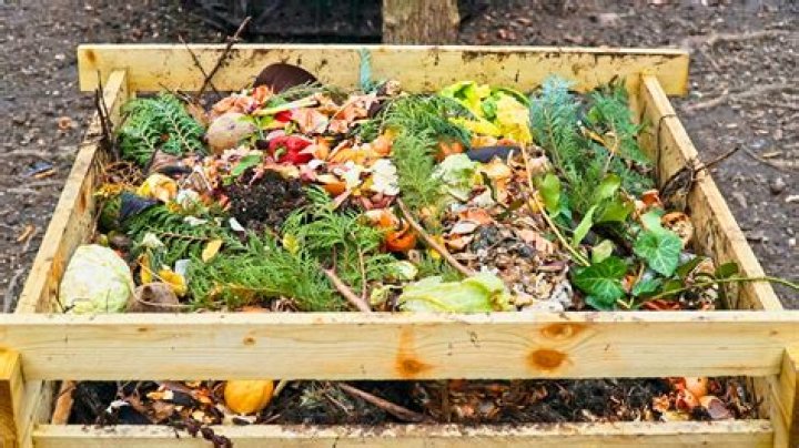 How often should you turn a compost pile