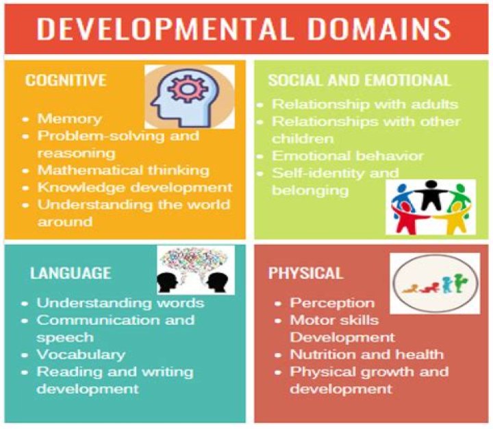 How social studies helps in the development of a child