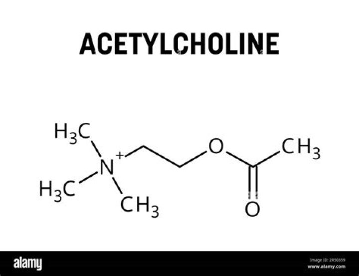 Is acetylcholine an amino acid