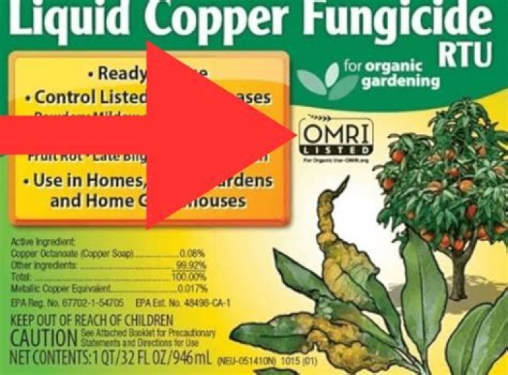 Is copper a fungicide