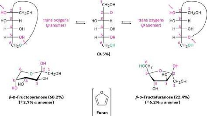 Is D fructose a furanose?