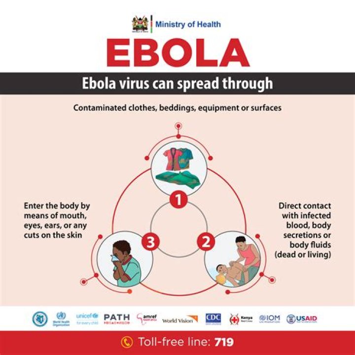 Is Ebola spread through blood to blood?