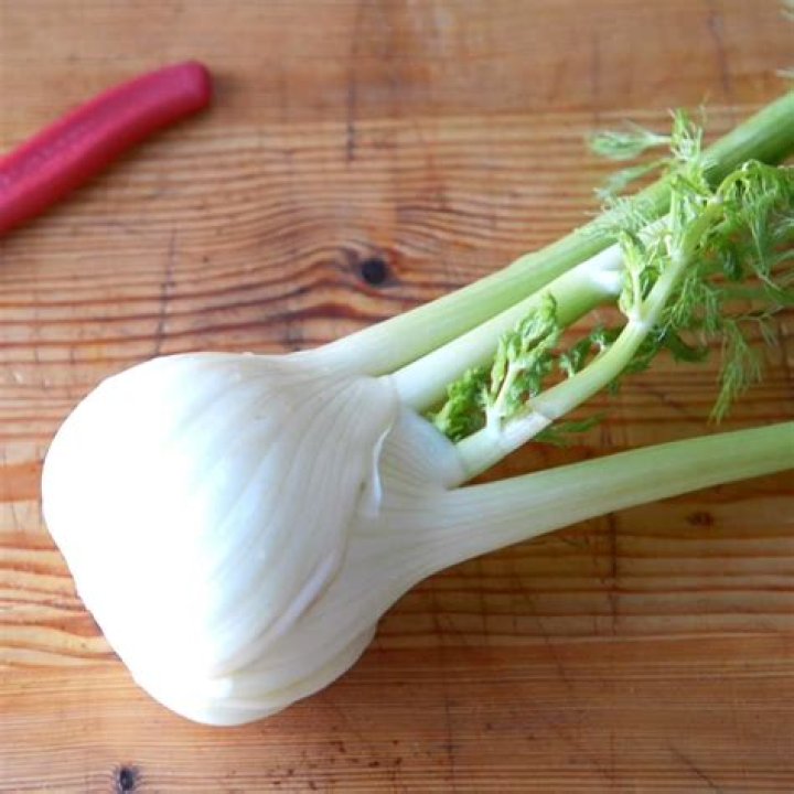 Is fennel like celery