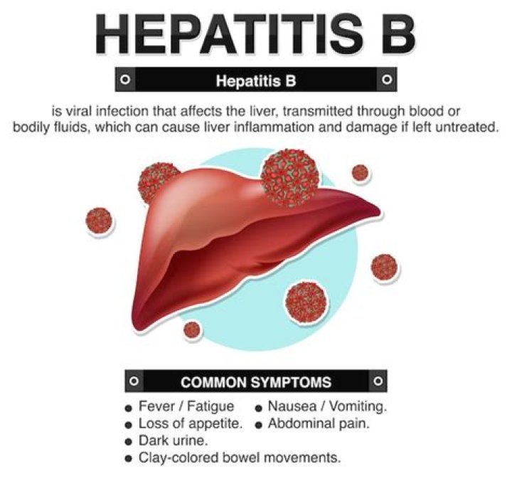Is Hepatitis B The main focus of OSHA bloodborne pathogens regulations