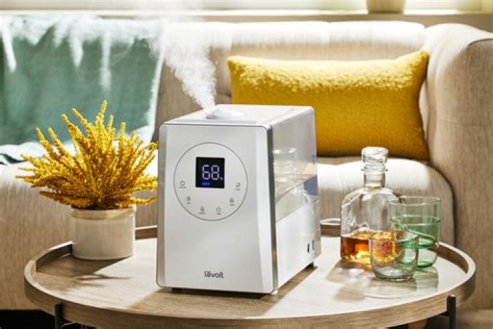 Is it better to use a cool mist or warm mist humidifier