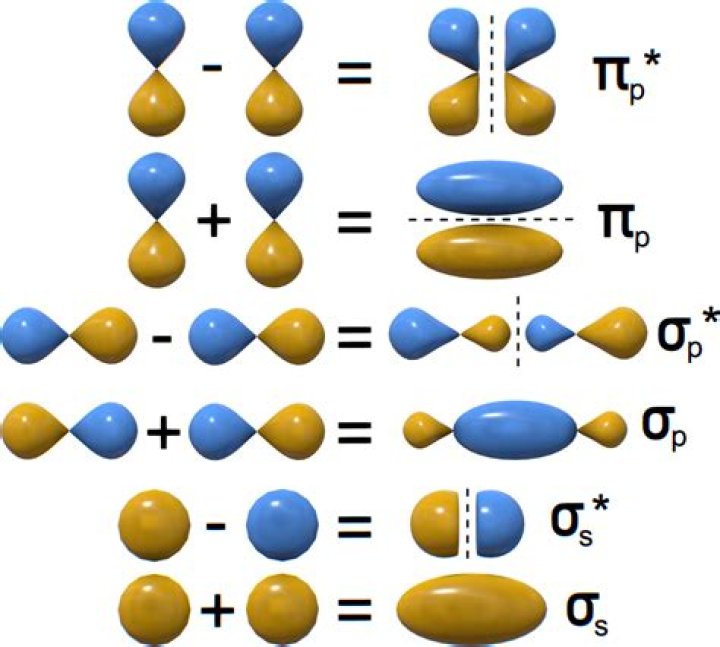 Is N2 a homonuclear molecule?