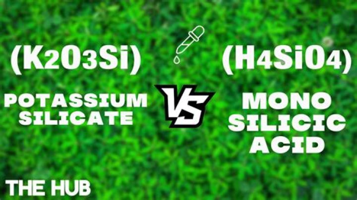 Is silica good for plants