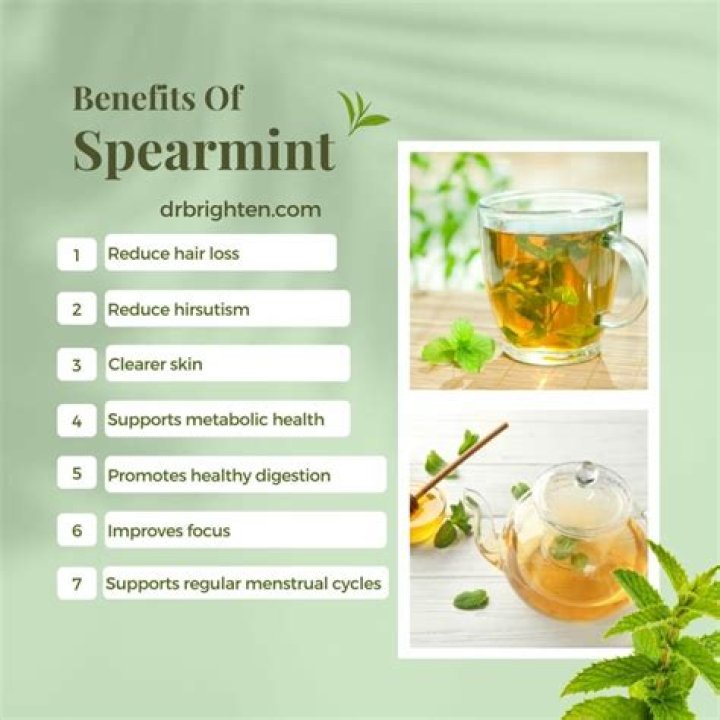 Is Spearmint a stimulant
