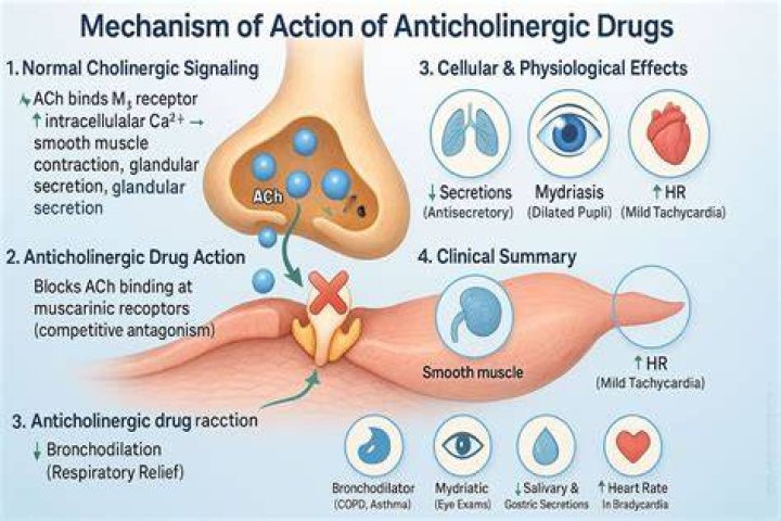 Is tolterodine an anticholinergic