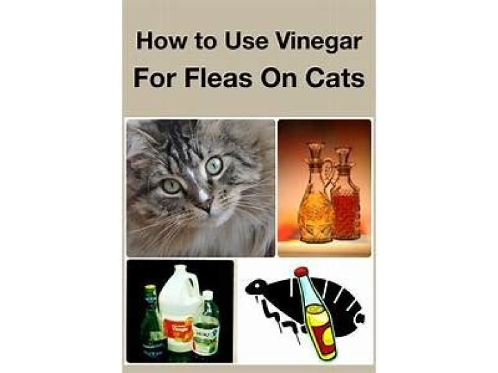 Is vinegar effective against fleas