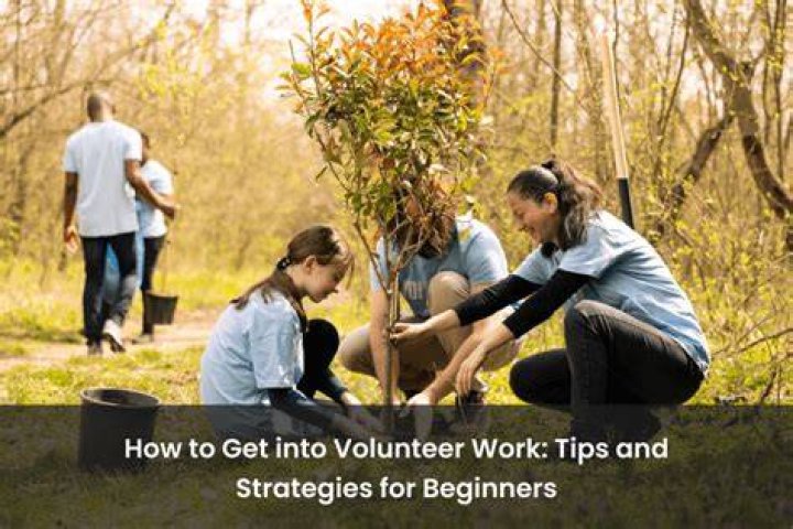 Is volunteer work considered employment?