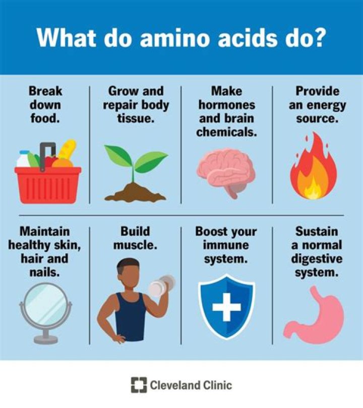 What amino acids can your body not make