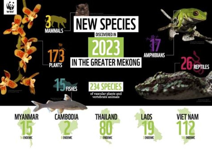 What animals have been discovered in the last 5 years?