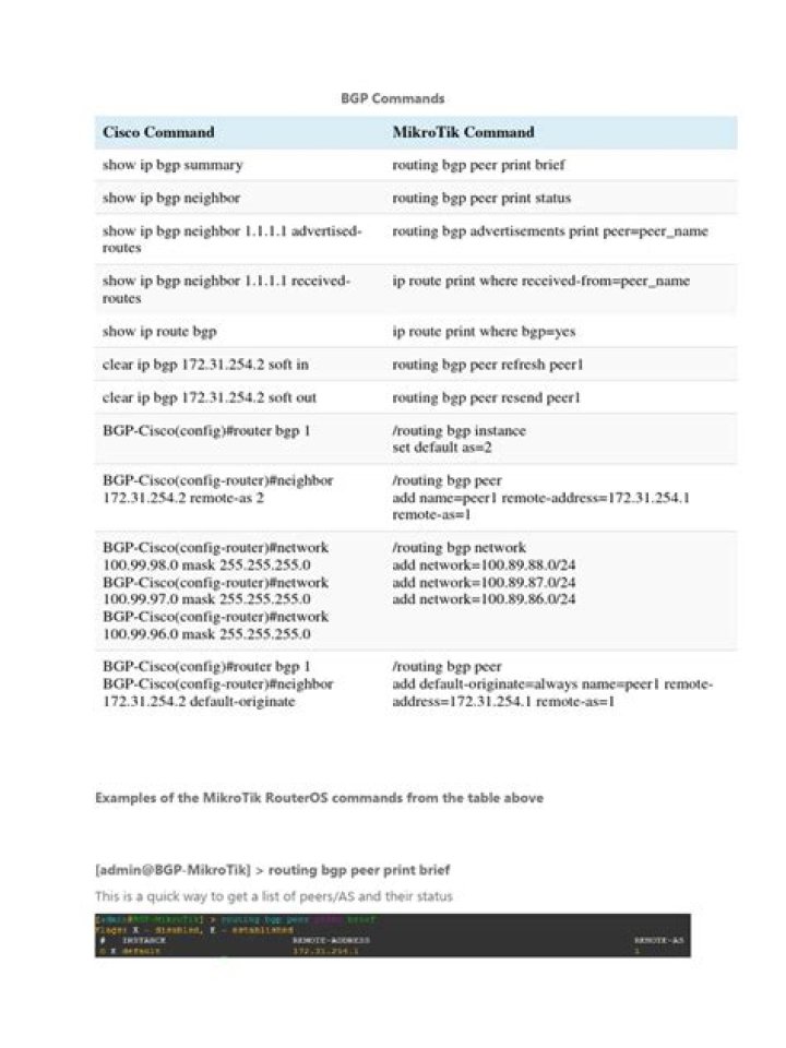 What are BGP commands?