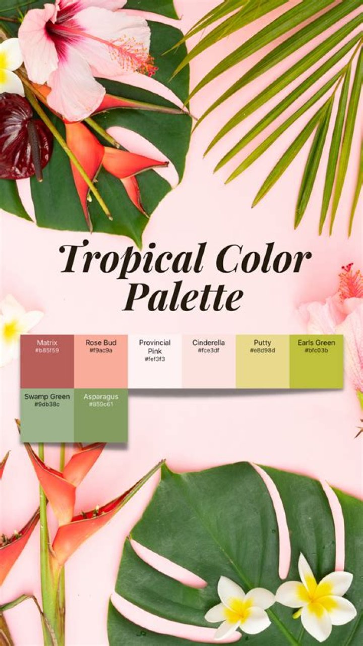 What are considered tropical colors