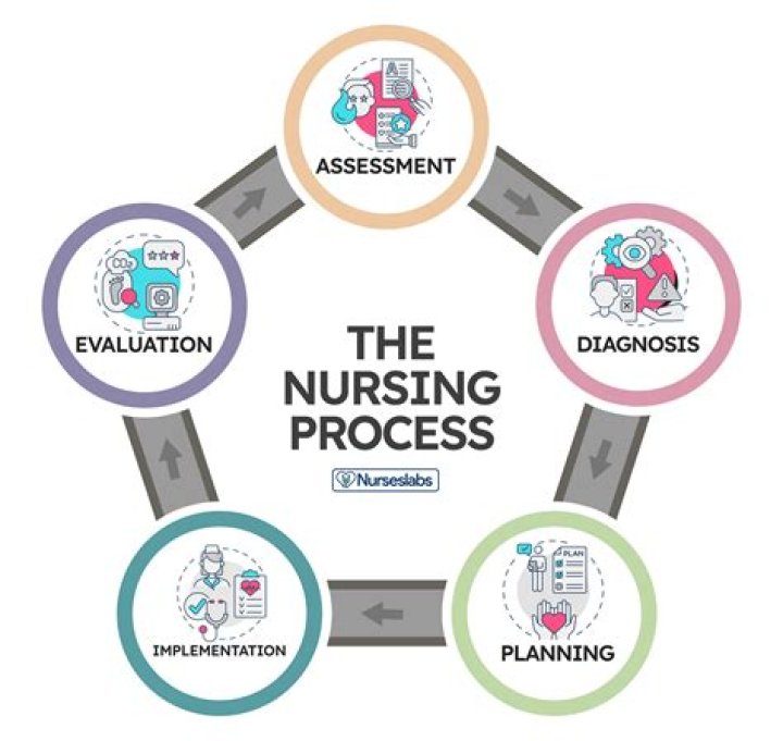 What are nursing terminologies