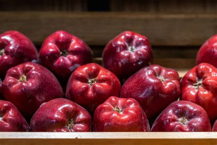 What are Red Delicious apples best used for