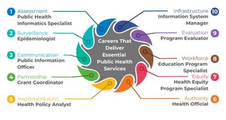 What are some careers within public health?