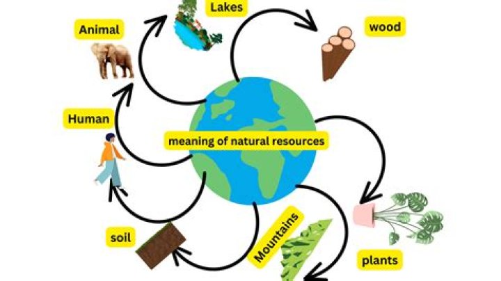 What are some natural resources in Latin America
