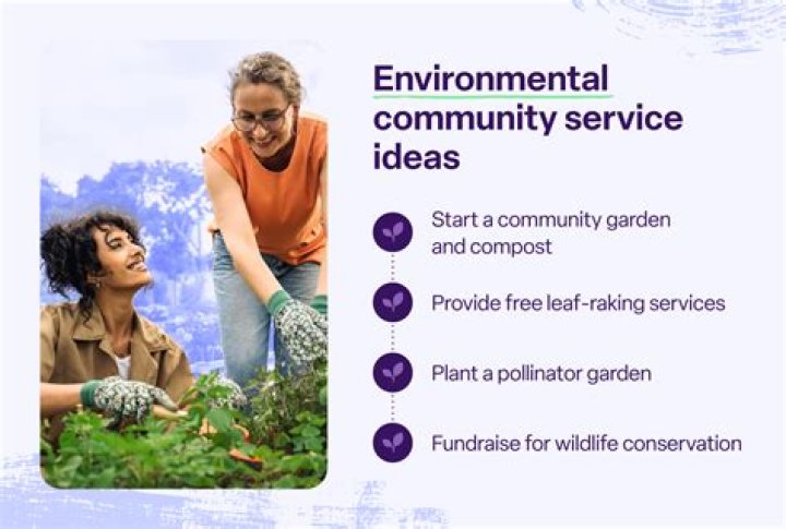 What are some service project ideas?