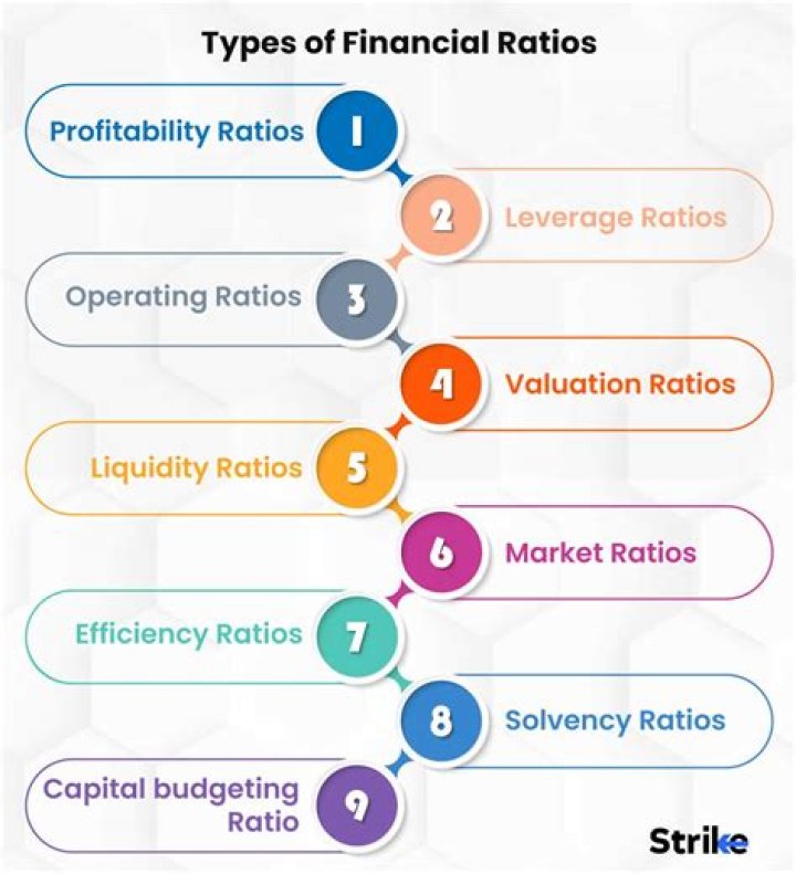 What are the 4 financial ratios?