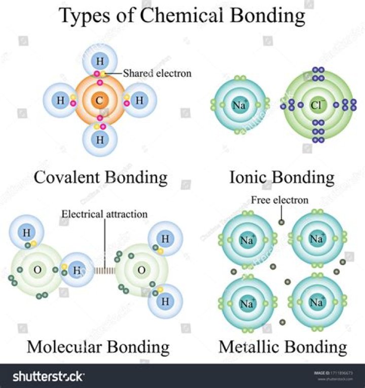 What are the 4 types of chemical bonds
