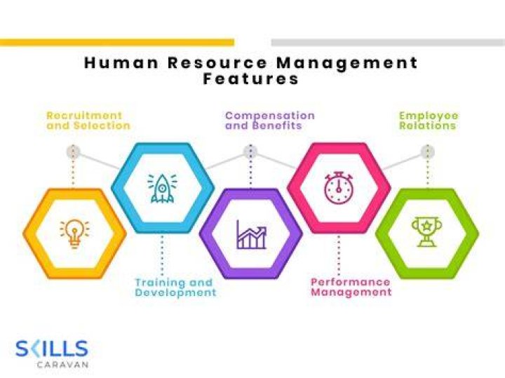 What are the career paths in human resource management?