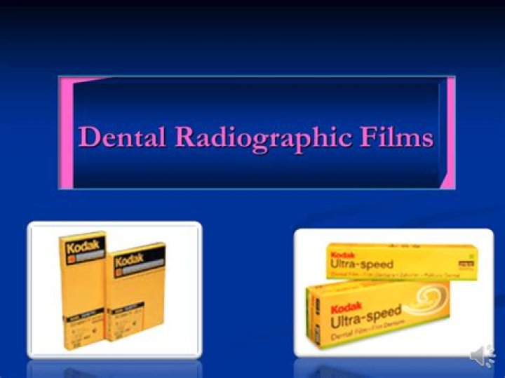 What are the five components of intraoral film