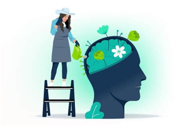 What are the important concept of the theories of Dweck?