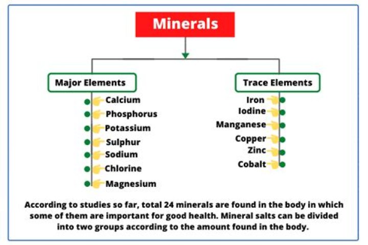 What are the major minerals and their functions