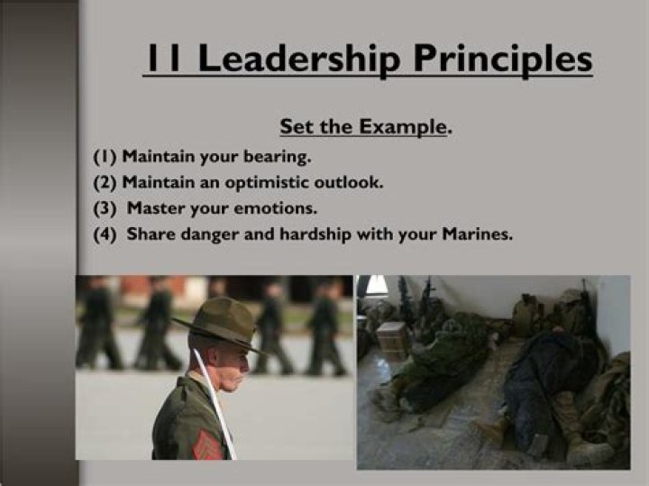 What are the Marine Corps training principles