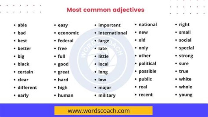 What are the most common adjectives