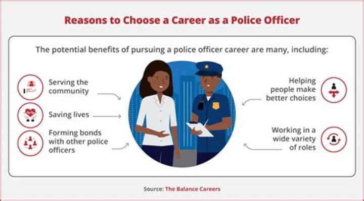 What are the officers in an organization