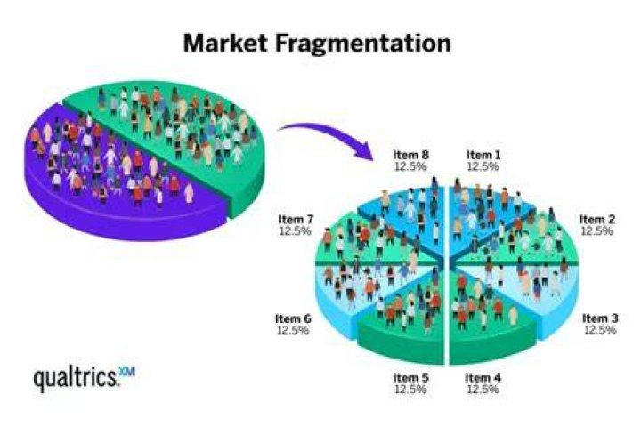 What are the reasons for audience fragmentation
