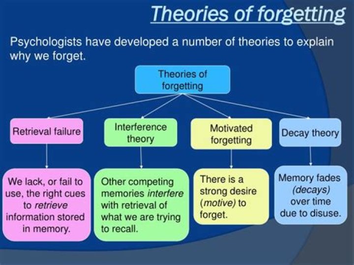 What are the theories of forgetting