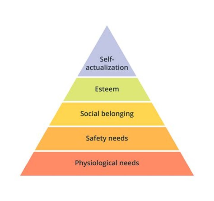 What are the three types of needs in psychology