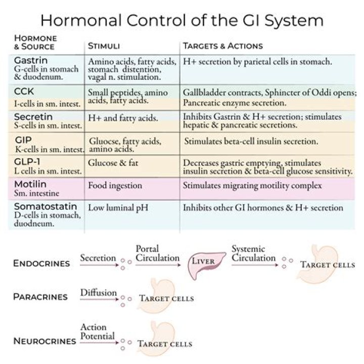 What are two features of hormones