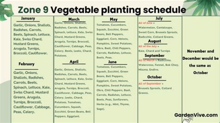 What can I plant in October in Phoenix