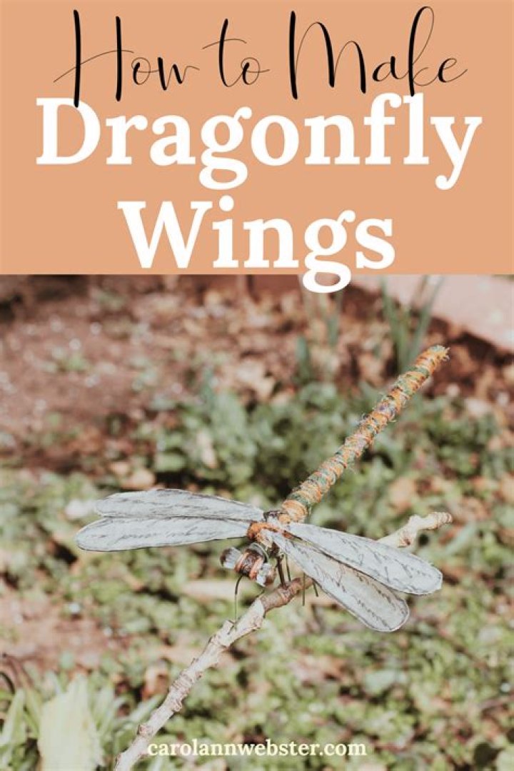 What can I use to make dragonfly wings?